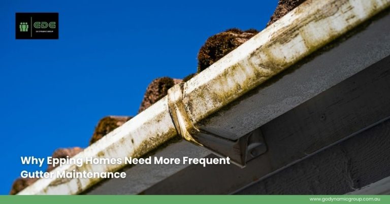 Why Epping Homes Need More Frequent Gutter Maintenance