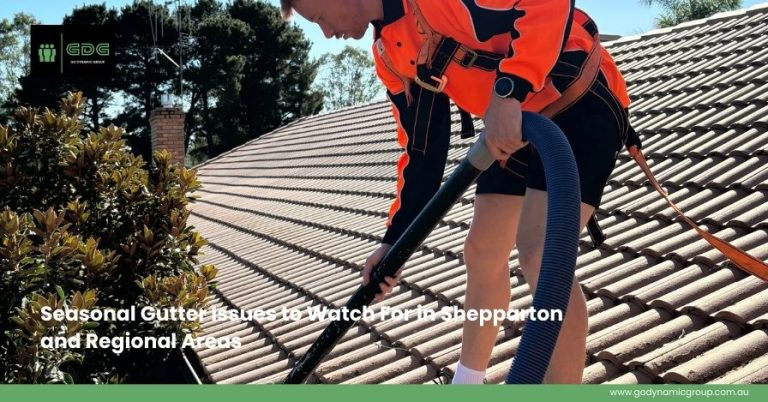 Seasonal Gutter Issues to Watch For in Shepparton and Regional Areas