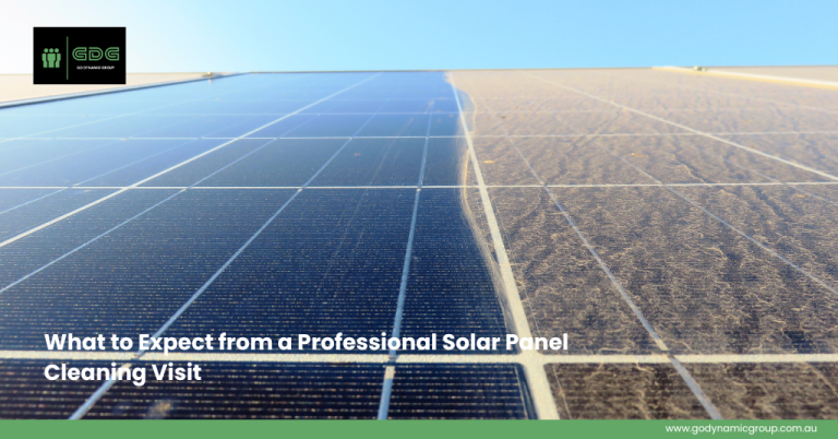 What to Expect from a Professional Solar Panel Cleaning Visit