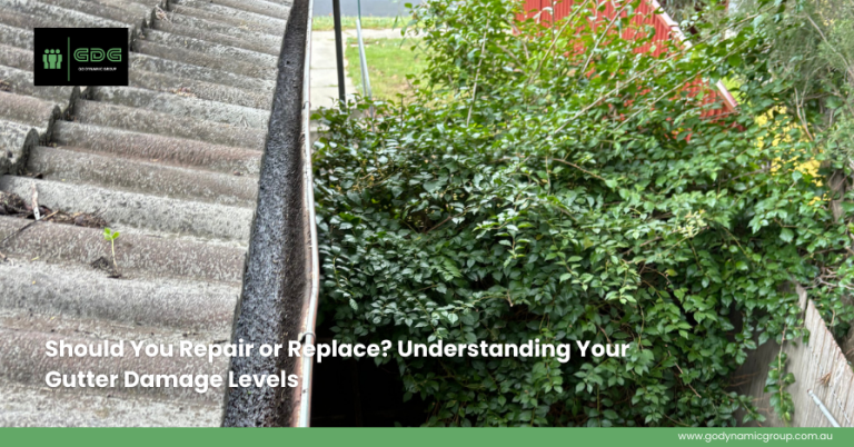 Should You Repair or Replace? Understanding Your Gutter Damage Levels