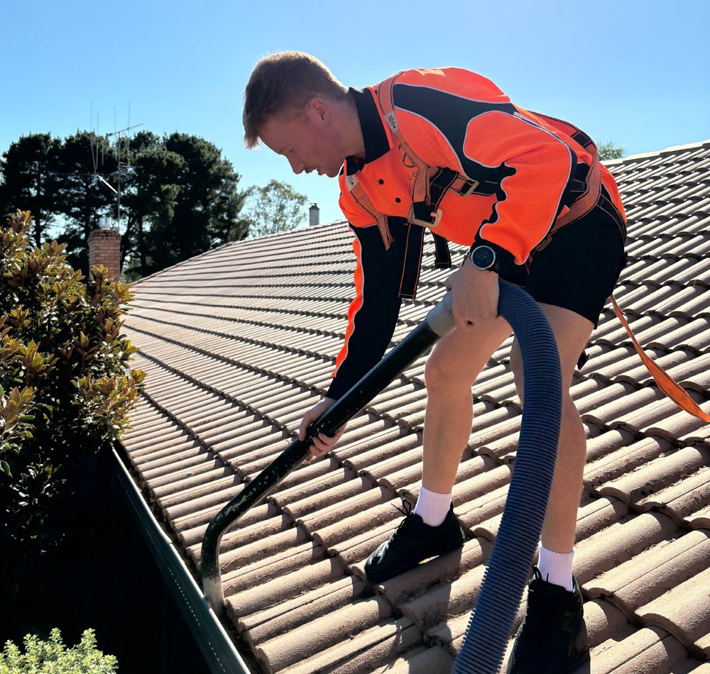 go dynamic group team cleaning gutters in victoria
